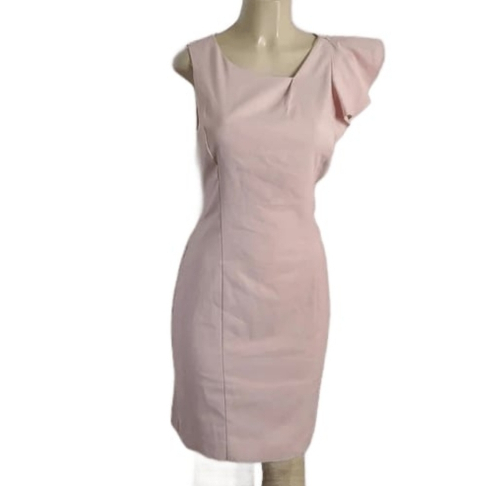 NWT The Limited Light Pink Ruffle Sleeve Dress Size 10